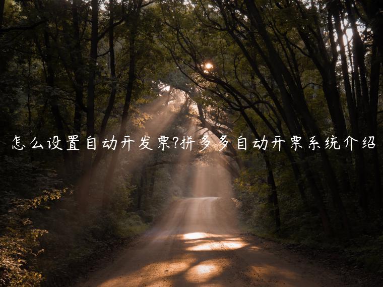 怎么設(shè)置自動開發(fā)票?拼多多自動開票系統(tǒng)介紹